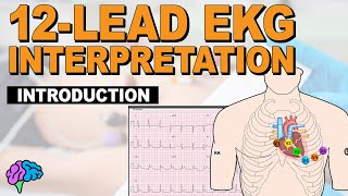 Introduction to Concepts of 12Lead EKG Interpretation [upl. by Lacym]