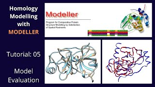 Homology Modelling  Tutorial 5 of 5  Modeller [upl. by Lyrpa]