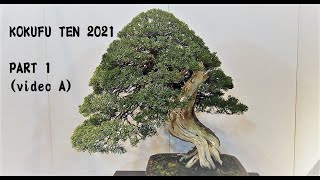 95th KOKUFU TEN BONSAI EXHIBITION 2021 PART 1 video A 第９５国風盆栽展 令和3年 前期（ビデオ A ）ENIT [upl. by Yehudit]