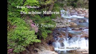 Franz Schubert  Die schöne Müllerin D 795 18． Trockne Blumen ／美しき水車小屋の娘 18．しぼんだ花（しぼめる花） [upl. by Aynotahs]