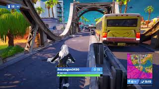 Fortnite gameplay Black Cat skin argh [upl. by Collimore]