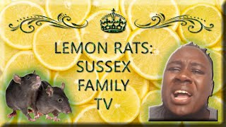 Lemon Rats Sussex Family TV [upl. by Kinsley]