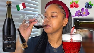 Wines You Should Be Drinking Lambrusco 🍇 BEGINNER FRIENDLY [upl. by Bernard]