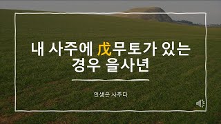 내 사주에 戊무토가 있는 경우 을사년 [upl. by Magan]