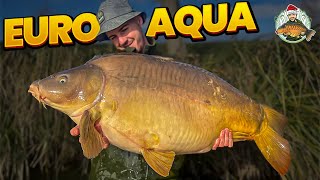 The Home Of The BIGGEST CARP IN THE WORLD Euro Aqua Vlog [upl. by Xymenes424]