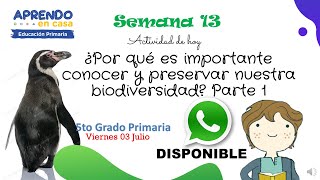 Biodiversidad peruana APRENDOENCASA 5to GradoPrimaria [upl. by Otsirc]