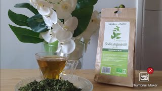 Infusion detox  reminéralisante à lOrtie ☕ [upl. by Marquardt]