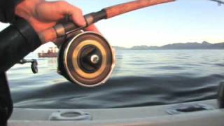 Shimano Mooching Reels [upl. by Onihc]