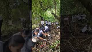 Mangroves Cleanup dhruvkadara trending shortsfeed yotubeshorts shorts [upl. by Kendall]