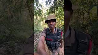 Namtak Dihing Patkai National Park ⛰️ Hills Area PatrollingDuty  forestbattalion afpf police [upl. by Berneta]