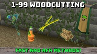 199 Woodcutting Guide Runescape 3 Up to 200k xphr [upl. by Sid566]