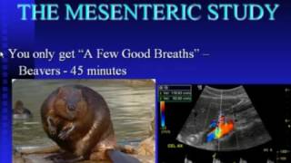 Mesenteric Ischemia [upl. by Chill]