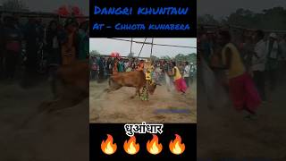 Shoray Dangri khuntaw Chhota kunabera Rajnagar2024 [upl. by Anitnahs299]