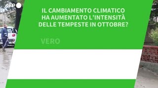 Ansa VERIFIED  Il cambiamento climatico ha aumentato lintensita delle tempeste in ottobre [upl. by Ecinuahs]