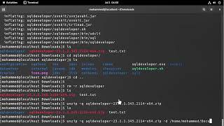 How to Unzip Files in Linux [upl. by Carlye]