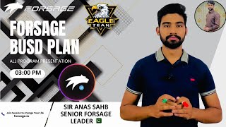 Forsage Busd Complete Plan By Anas Sahb Forsage Busd in Pakistan [upl. by Dibbell]