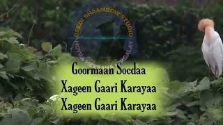 Xasan aadan samatar Good iyo abeesiyogalaangooleey lyrics [upl. by Retha]