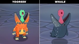 My Singing Monsters Transform Real Animals [upl. by Lundgren533]