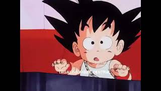 Kid Goku amp Master Roshi Dragon Ball Tagalog Dubbed [upl. by Ricardama]