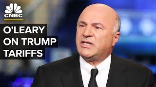 Kevin OLeary On Trade Impact Towards Canada From President Donald Trumps Tariffs [upl. by Rhianon22]