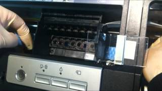 How to Clean your Printers Print Head [upl. by Elletnohs]