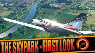 The Skypark First Look and Impressions  Microsoft Flight Simulator 2020 [upl. by Dao]