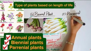 Types of plants based on length of lifeAnnual plantsBiennial PlantsParrenial plants [upl. by Pavier]