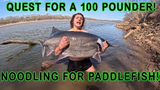 Noodling for Paddlefish The Quest for a 100 Pound Fish Continues We Try Snagging and Noodling [upl. by Aliel271]