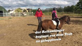 Reiten lernen mit der PonyTruppe  Teil 11  Der Galopp [upl. by Adev]