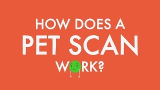 How does a PET scan work [upl. by Anelej344]