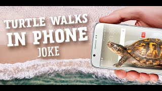 Turtle Walks in Phone Joke  Android Turtle Simulator [upl. by Aksehcnarf682]