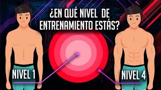 NIVELES DE ENTRENAMIENTO  MÁXIMO DESARROLLO MUSCULAR [upl. by Pfosi53]