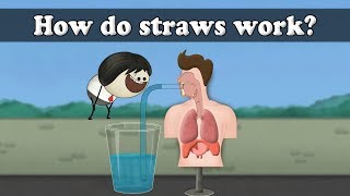 How do straws work  aumsum kids science education children [upl. by Eibrad]