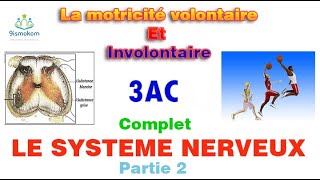 la motricité volontaire et involontaire 3ac cour complet [upl. by Lovich]