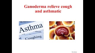 Ganoderma on complementing treatment of asthmatic and cough [upl. by Trescha]