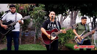 Gallo Fino  Trio Efectivo En Vivo [upl. by Asselim]