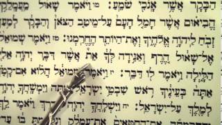 Haftorah Haftarah Reading for Parsha Zachor Amalek before Purim הפטרת זכור קריאה לפני פורים [upl. by Towland329]