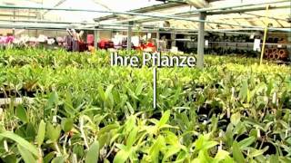 Werkstatt Floral  Schwerter Orchideenzucht  Promotion Video [upl. by Airtina]