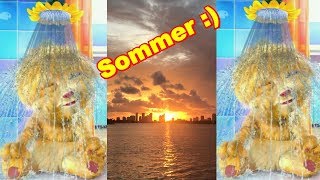 🌞 SOMMER 🌞 Sonne Gefährliche Hitzewelle Trockenheit Rekordtemperaturen in Deutschland Ginger Talking [upl. by Hamehseer306]