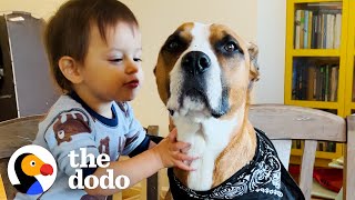 Dog With Wildest Zoomies Completely Transforms For His New Baby Bro  The Dodo [upl. by Galen]