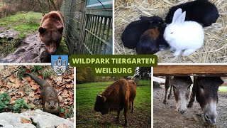 Weilburg Limburg  Wildpark Tiergarten [upl. by Arba]