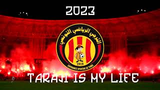 2023 كوكتال أفضل أغاني فيراج الترجي [upl. by Abramo502]