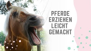 So erziehst du DEIN PFERD 🐴 ganz easy  Erziehen amp Trainieren im Alltag mit deinem Pferd ❤️ [upl. by Anod]