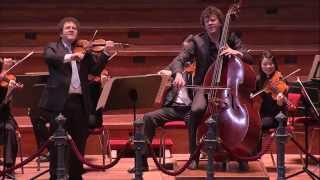 Bottesini Gran duo concertante  Concertgebouw Kamerorkest  Live Concert  HD [upl. by Llenad]