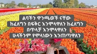 ለፍቅር ፊዳ ክፍል 11 [upl. by Ynoep]