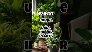 Best Unique and Rare indoor plants ✅ Rare houseplants [upl. by Renraw]