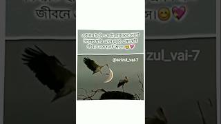 azizulvai comment like skills camera laka cover motivation anuvjain lovesong vairal2024 [upl. by Janetta]