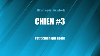 CHIEN 3 Petit chien qui aboie bruitage gratuit [upl. by Akemhs]