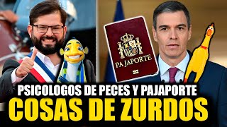 💥INSOLITAS MEDIDAS Y DEBATES EN CHILE Y ESPAÑA💥CREDENCIAL PARA VER NOPOR Y ANIMOS DE PECES [upl. by Nylisoj]