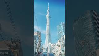 Skytree towertokyo [upl. by Nnaitak582]